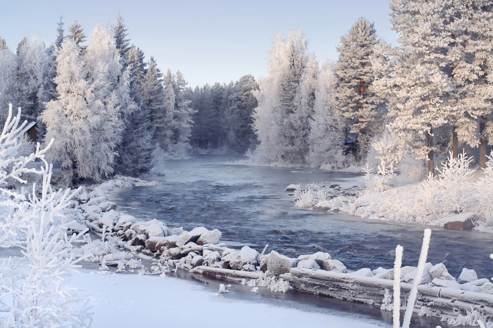 Winter.jpg